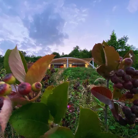 Sea - Zeleno Campsite *